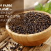Optimizing Digestive Health: Unveiling the Advantages of Dry Fruits